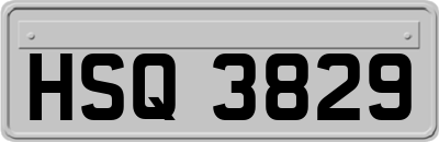 HSQ3829