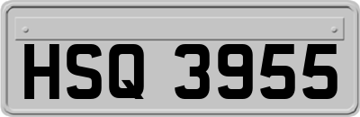 HSQ3955