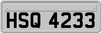 HSQ4233