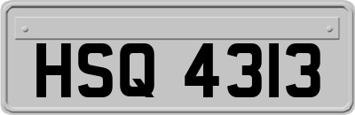 HSQ4313