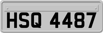 HSQ4487