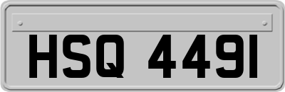 HSQ4491