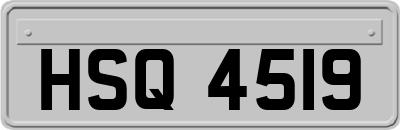 HSQ4519