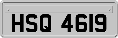 HSQ4619