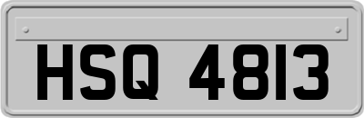 HSQ4813