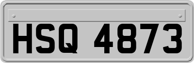 HSQ4873