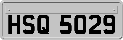 HSQ5029