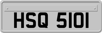 HSQ5101