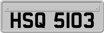 HSQ5103