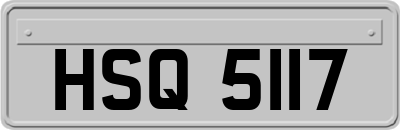 HSQ5117