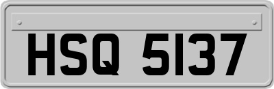 HSQ5137