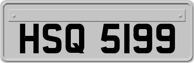 HSQ5199