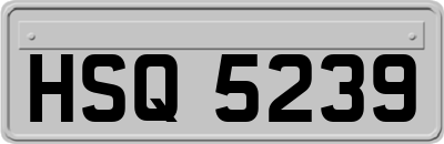 HSQ5239
