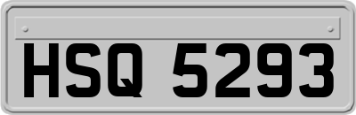 HSQ5293