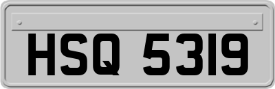 HSQ5319