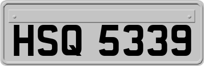 HSQ5339