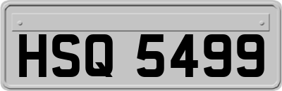 HSQ5499