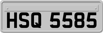 HSQ5585
