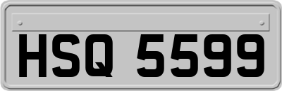 HSQ5599