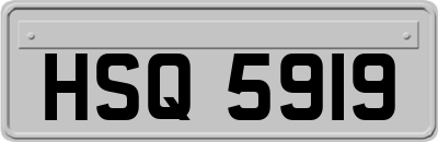 HSQ5919
