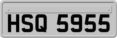 HSQ5955