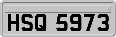 HSQ5973