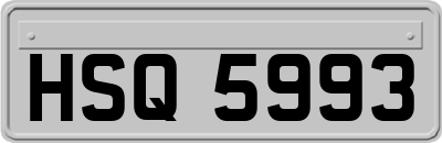 HSQ5993