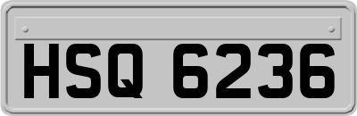 HSQ6236