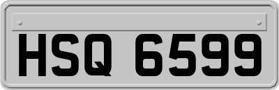 HSQ6599