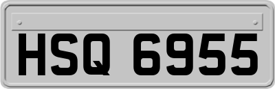 HSQ6955