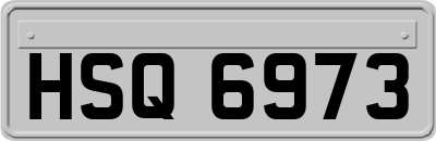 HSQ6973