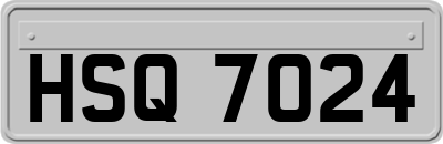 HSQ7024