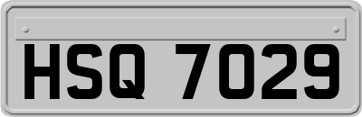 HSQ7029