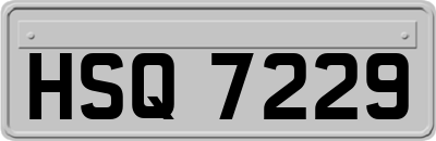 HSQ7229