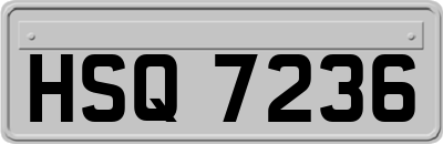 HSQ7236