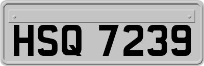 HSQ7239