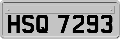 HSQ7293