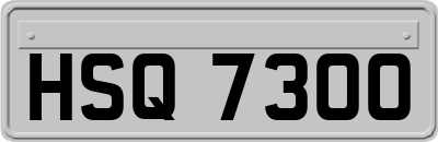 HSQ7300