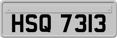 HSQ7313