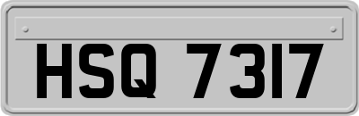 HSQ7317