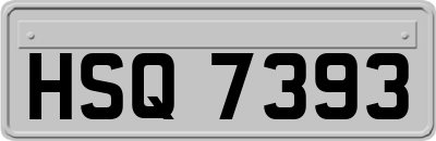 HSQ7393