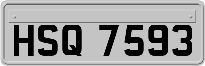 HSQ7593