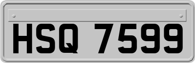 HSQ7599