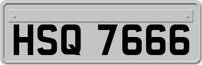 HSQ7666