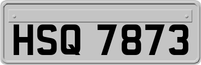 HSQ7873