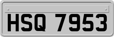 HSQ7953
