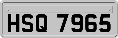 HSQ7965