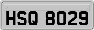 HSQ8029