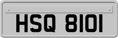 HSQ8101