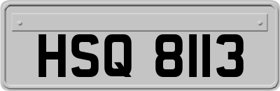 HSQ8113